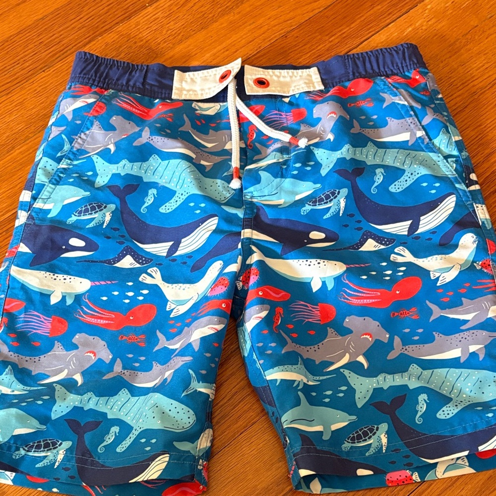 Boden swim trunks